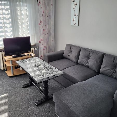 Apartament Sosnowy Z Parkingiem Stary Toruń Exteriör bild